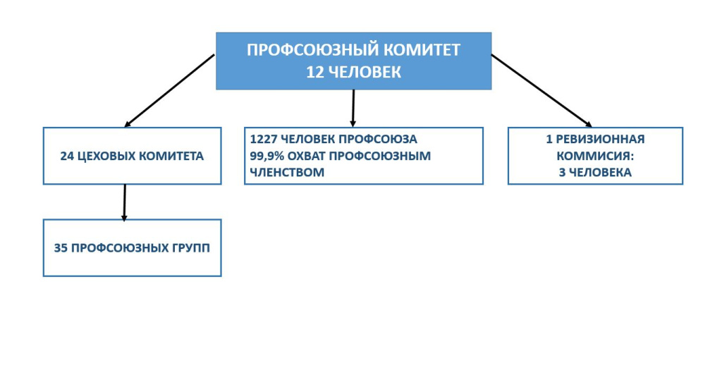 структура 2023.JPG